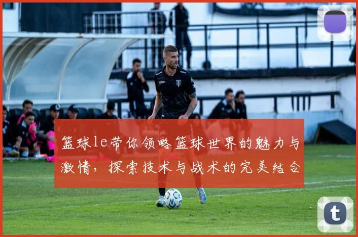 篮球le带你领略篮球世界的魅力与激情，探索技术与战术的完美结合