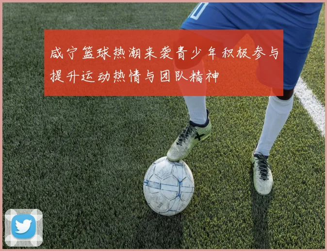 咸宁篮球热潮来袭青少年积极参与提升运动热情与团队精神