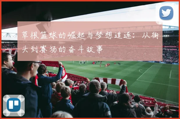 草根篮球的崛起与梦想追逐：从街头到赛场的奋斗故事