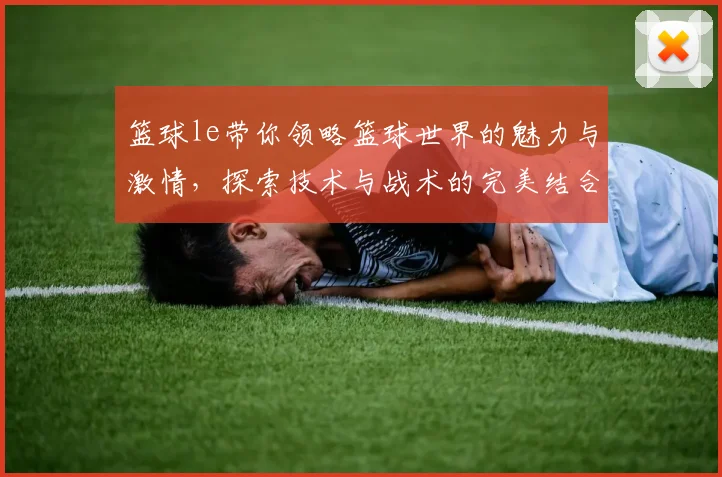 篮球le带你领略篮球世界的魅力与激情，探索技术与战术的完美结合